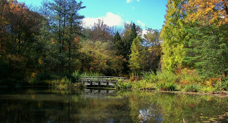 Leonard J Buck Garden, United States